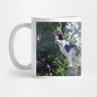 Lagertha cat on watch Mug